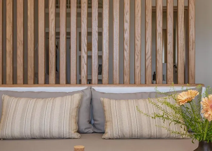 Alia Summer Rest Kymo, Tinos